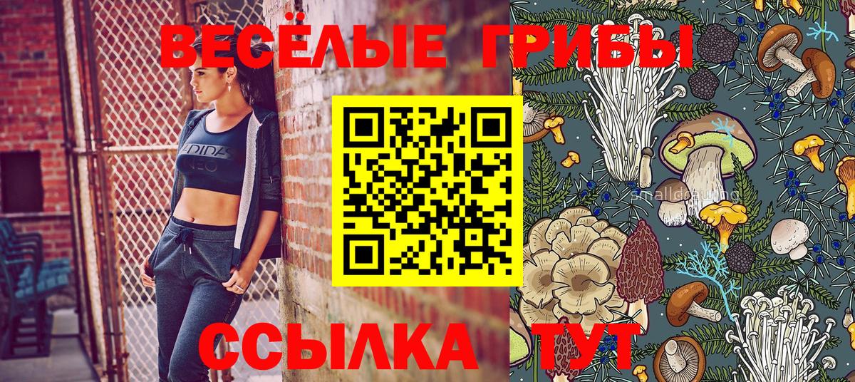 Псилоцибиновые грибы мицелий Калуга