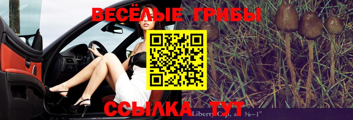 Калуга  Псилоцибиновые грибы мицелий  Псилоцибиновые грибы MAGIC MUSHROOMS  Вход с VPN 